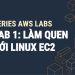Lab 1: Làm quen với Linux EC2