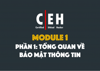 [CEH Tiếng Việt] Module 1 – Phần 1: Tổng quan về bảo mật thông tin
