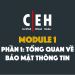 [CEH Tiếng Việt] Module 1 – Phần 1: Tổng quan về bảo mật thông tin