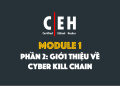 Cyber Kill Chain PowerPoint Template  PPT Slides