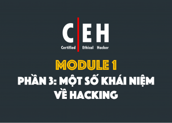 CEH-M1-P3