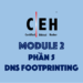 [CEH Tiếng Việt] Module 2 – Phần 5: DNS Footprinting