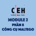 [CEH Tiếng Việt] Module 2 – Phần 8: Công cụ Maltego