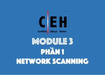 [CEH Tiếng Việt] Module 3 – Phần 1 – Network Scanning là gì?