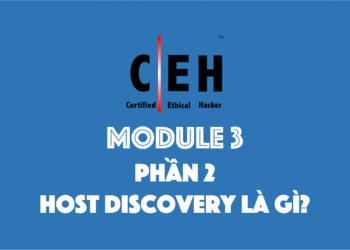 [CEH Tiếng Việt] Module 3 – Phần 2 – Host discovery là gì?