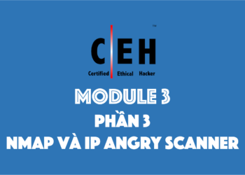[CEH Tiếng Việt] Module 3 – Phần 3 – Scan host với nmap và Angry IP Scanner