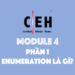 [CEH] Module 4 – Phần 1: Enumeration là gì?