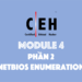 [CEH] Module 4 – Phần 2: NetBIOS Enumeration