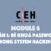 [CEH] Module 6 – Phần 1: Bẻ khóa password trong System Hacking