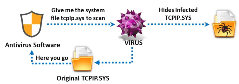 [CEH] Module 7 - Phần 4: Virus máy tính và phân loại virus 12