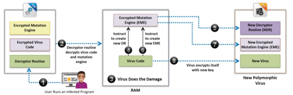 [CEH] Module 7 - Phần 4: Virus máy tính và phân loại virus 16
