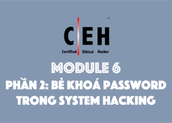 [CEH] Module 6 – Phần 2: Bẻ khóa password trong System Hacking (tiếp)