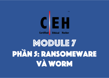 [CEH] Module 7 – Phần 5: Giới thiệu Ransomware và Worm