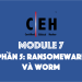 [CEH] Module 7 – Phần 5: Giới thiệu Ransomware và Worm