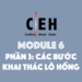[CEH] Module 6 – Phần 3: Các bước khai thác lỗ hổng và lỗi Buffer Overflow