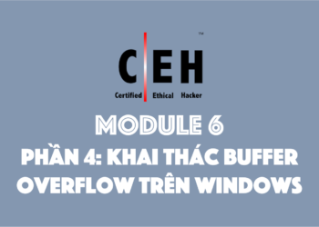 [CEH] Module 6 – Phần 4: Khai thác Buffer Overflow trên Windows