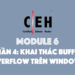 [CEH] Module 6 – Phần 4: Khai thác Buffer Overflow trên Windows