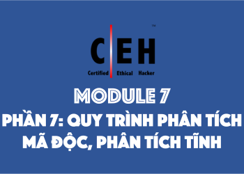 [CEH] Module 7 – Phần 7: Quy trình phân tích mã độc, phân tích tĩnh