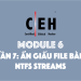[CEH] Module 6 – Phần 7: Ẩn giấu file bằng NTFS Streams
