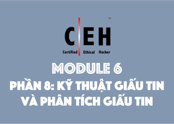 [CEH] Module 6 – Phần 8 – Kỹ thuật giấu tin (steganography)