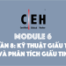 [CEH] Module 6 – Phần 8 – Kỹ thuật giấu tin (steganography)