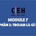 [CEH] Module 7 – Phần 2: Trojan là gì?