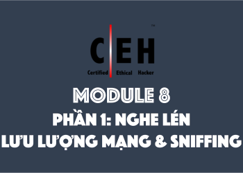 [CEH] Module 8 – Phần 1: Nghe lén lưu lượng mạng – Sniffing là gì?