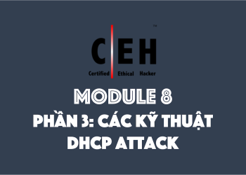 [CEH] Module 8 – Phần 3: Các kỹ thuật DHCP Attack