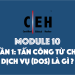 [CEH] Module 10 – Phần 1: Tấn công từ chối dịch vụ là gì?