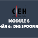 [CEH] Module 8 – Phần 6: Kỹ thuật DNS Poisoning