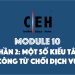 [CEH] Module 10 – Phần 2: Một số kiểu tấn công từ chối dịch vụ DoS/DDoS